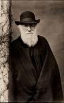 charles darwin, chuck to his friends, and a bearded freak